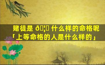 赌徒是 🦄 什么样的命格呢「上等命格的人是什么样的」